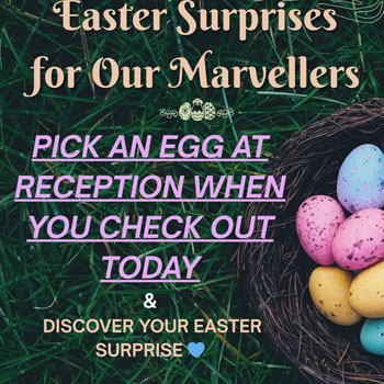 Marvel Orthodontics Instagram